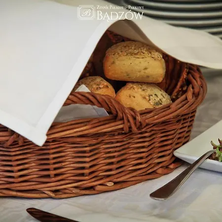 Penzion Zespol Palacowo-parkowy Badzow